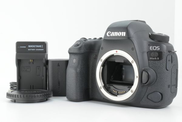 【美品】シャッターカウント 28254回 Canon EOS 6D Mark II 26.2MP Digital SLR キャノン デジタル一眼レフカメラ ボディ (EF-TN-JP1679)