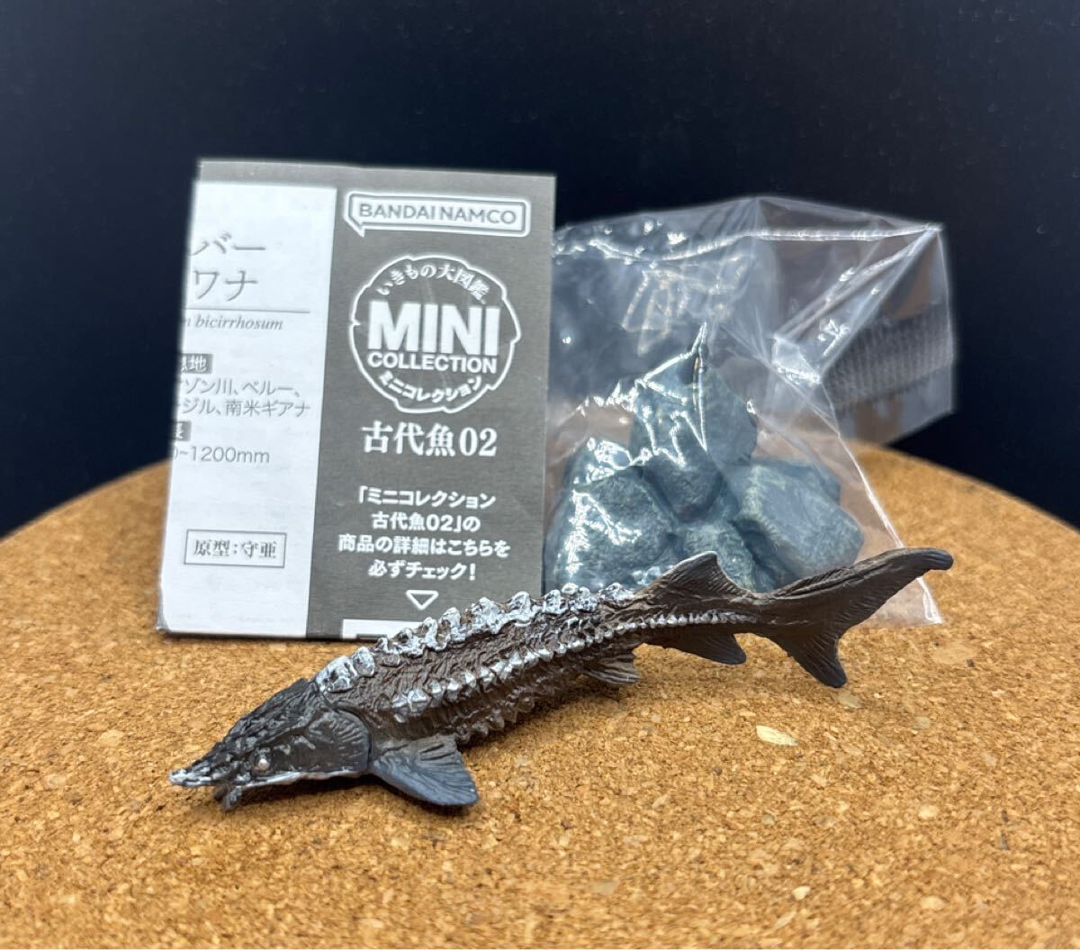 いきもの大図鑑 ミニコレクション 古代魚 02 カラチョウザメ フィギュア カプセルトイ ガチャ ガシャポン 古代生物 生物 サメ バンダイ