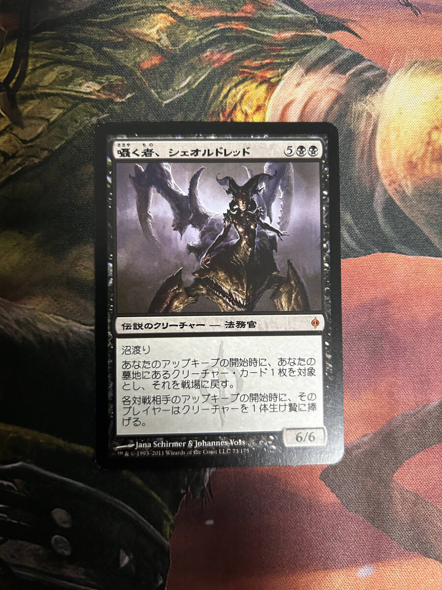 MTG　囁く者、シェオルドレッド　日本語版　4枚まで