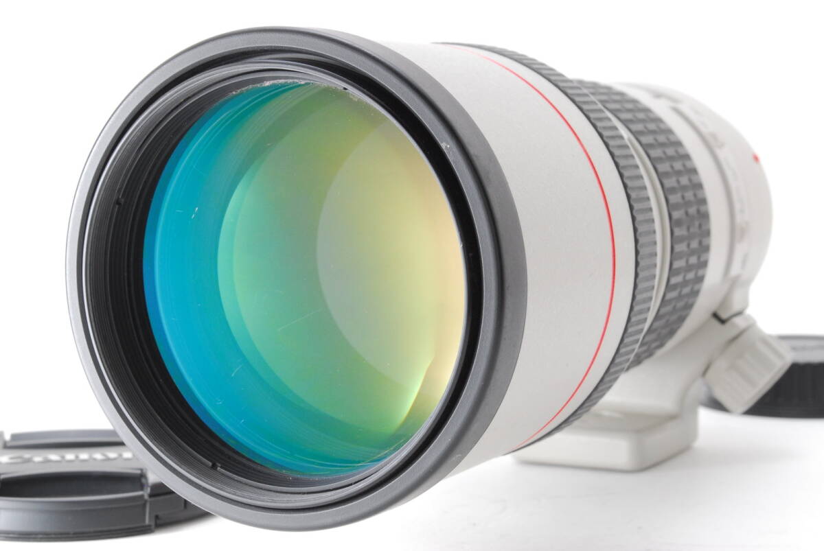 【超美品】Canon EF 300mm f/4 L USM Telephoto Prime Lens キャノン レンズ #B-559