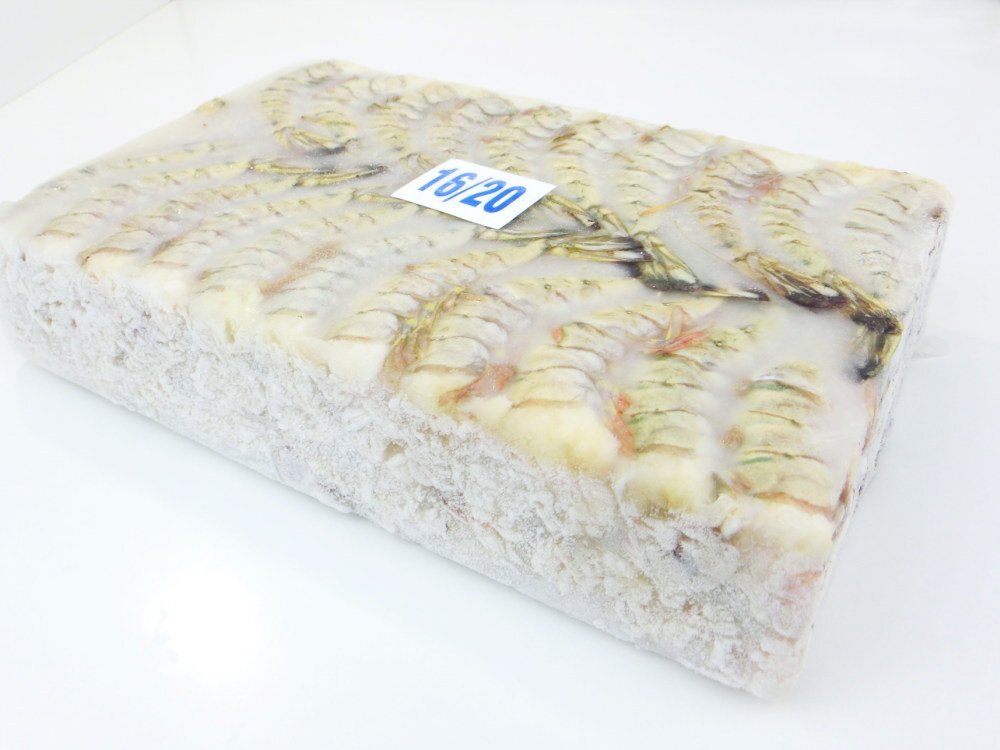 【Max】無頭ブラックタイガー　16/20サイズ　お買い得！ブラックタイガー　業務用　海老