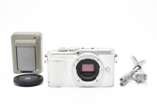 ADS7875★ ショット数 8,318枚 実用美品 ★ オリンパス OLYMPUS PEN E-PL9 ボディ