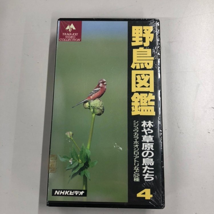 【80】1円～ 野鳥図鑑 VHS 長期保管品 ジャンク品