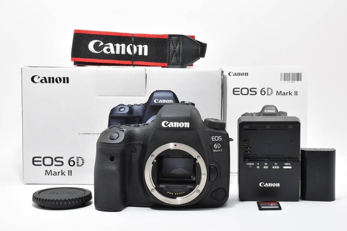 【極上美品】CANON EOS 6D MARK II ボディ キャノン ショット数 2,972回 #3248