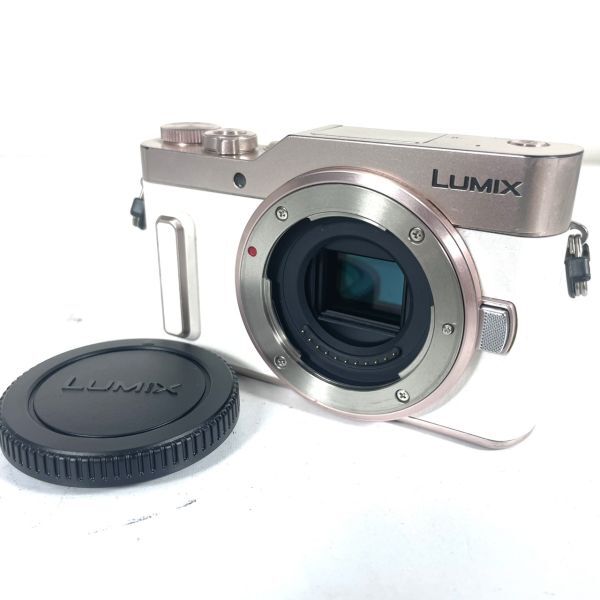 ■美品■ PANASONIC DC-GF10 ボディ