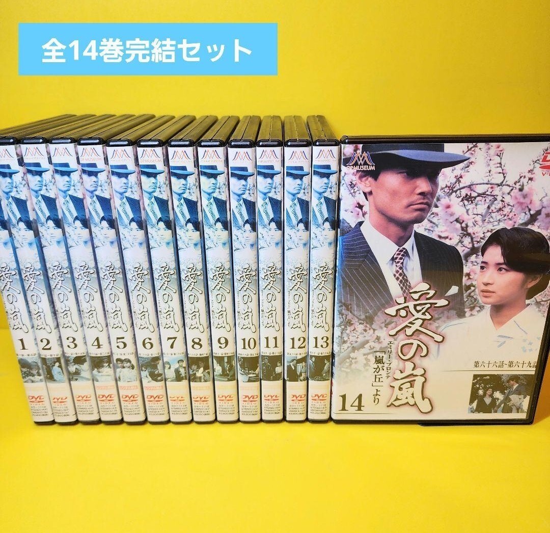 新品ケース交換済み　愛の嵐 東海テレビ 昼ドラ DVD全14巻セット 
