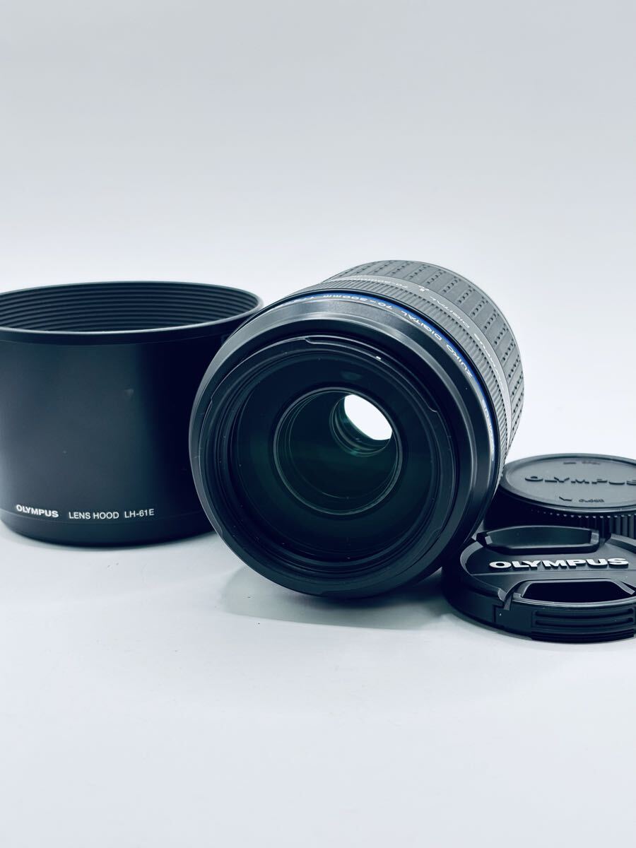 ★極上品★オリンパス OLYMPUS ZUIKO DIGITAL 70-300mm F4-5.6 ED フォーサーズマウント ★前後キャップ・フード付き★　　 #179