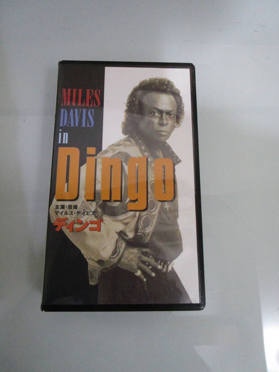 DVD ビデオテープ ディンゴ MILES DAVIS in Dingo マイルス・デイビス 1991年 映画