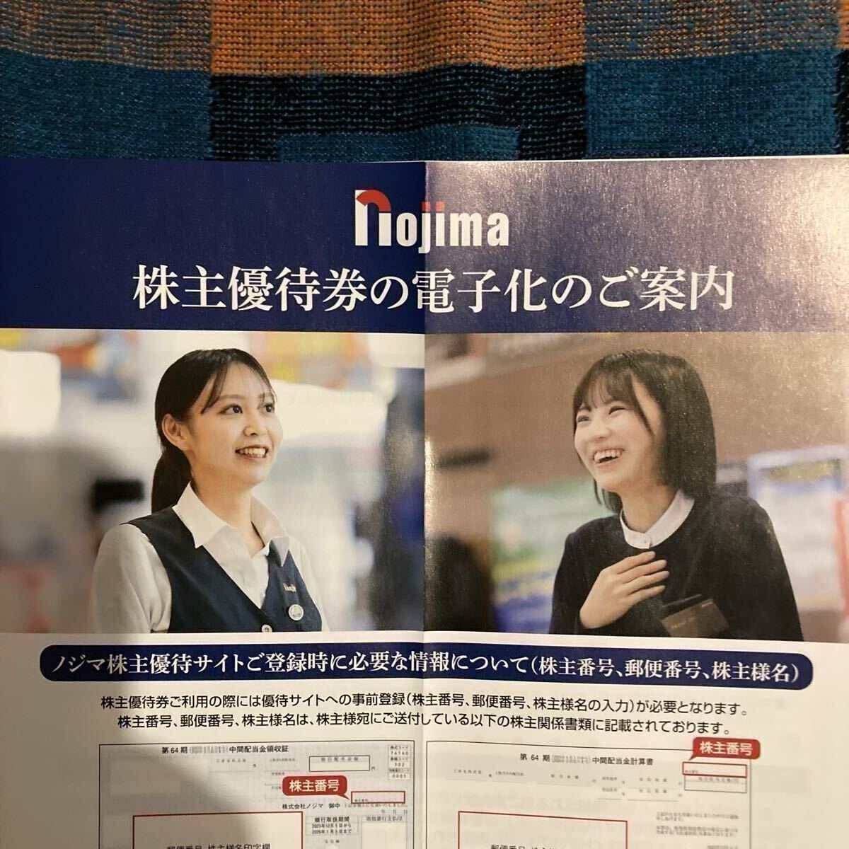 ノジマ 株主優待 1,000株分 10％割引券（最大1,000円）50枚＋株主来店ポイント券 500P 12枚＋店頭サービス優待券2枚 有効期限2026年7月31日