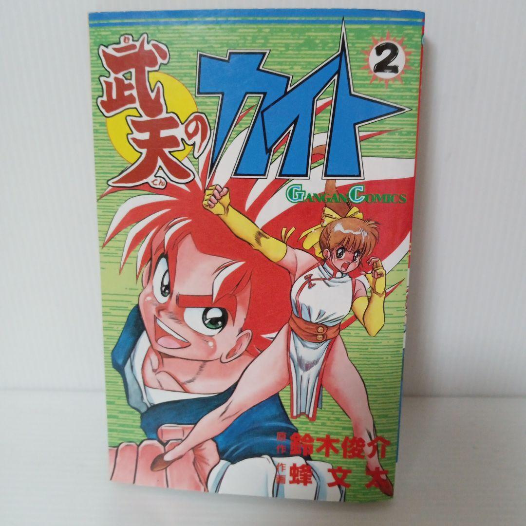 武天のカイト 2巻 初版 希少 廃盤 コミック マンガ 漫画 ガンガンコミックス　　鈴木俊介 蜂文太 エニックス