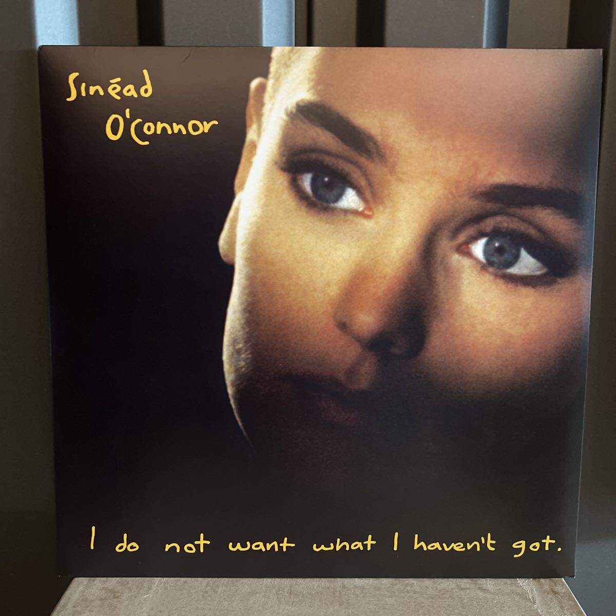 【アナログ盤】激レア/EU盤/2019リイシュー/180g盤/Sinad O'Connor /I Do Not Want What I Haven't Got/レコード/0825646089505/オコナー