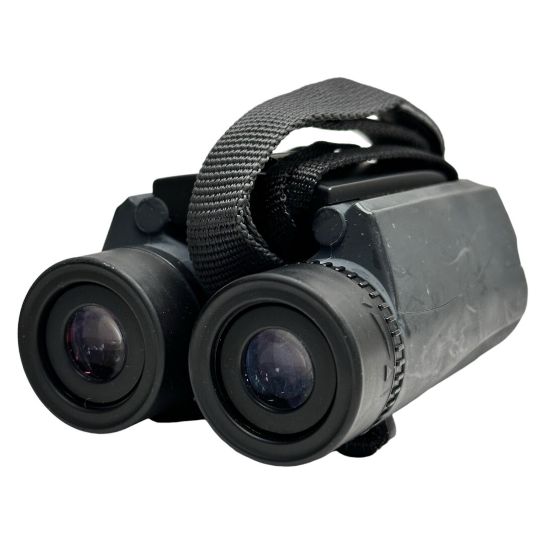 【良品】 NIKON ニコン Sportstar EX 10×25 6.5° WF SATERPROOF 双眼鏡 #20946