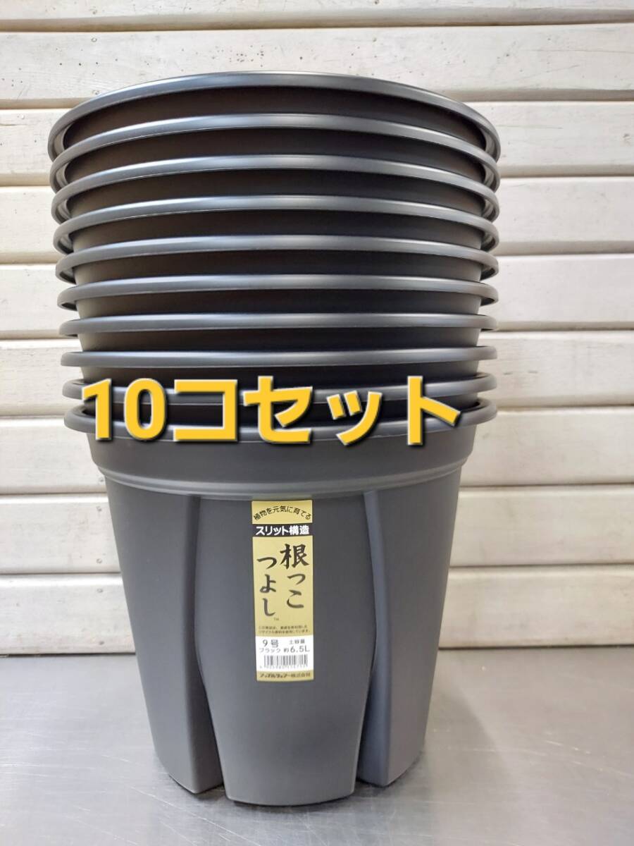 送料無料★セットでお買い得！ 植物の生育環境を整えるスリット構造！アップルウエアー　根っこつよし　９号　１０Ｐ