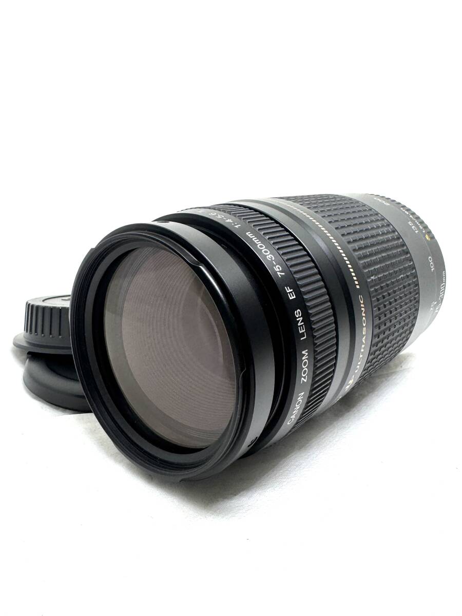 ★良品★Canon キャノン EF 75-300mm F4-5.6 II USM★　#349