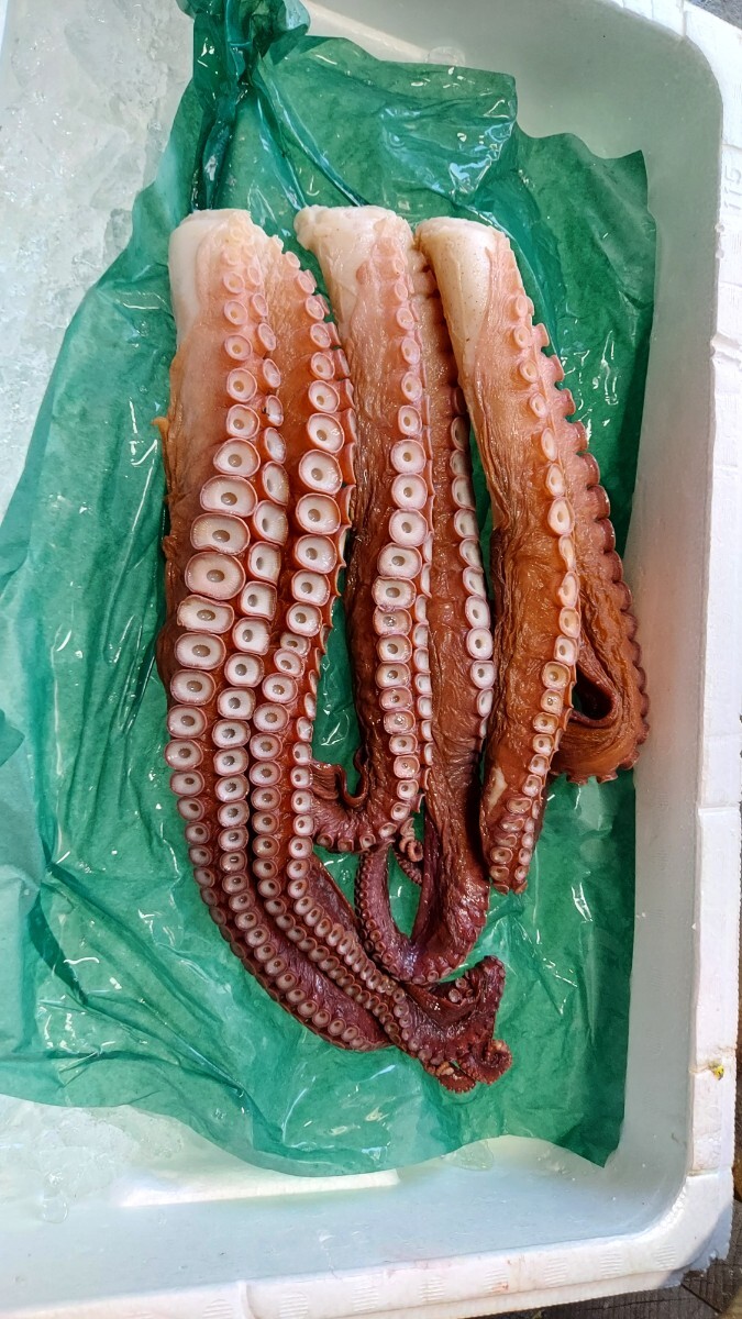 煮タコ足500g位1本1998円即決