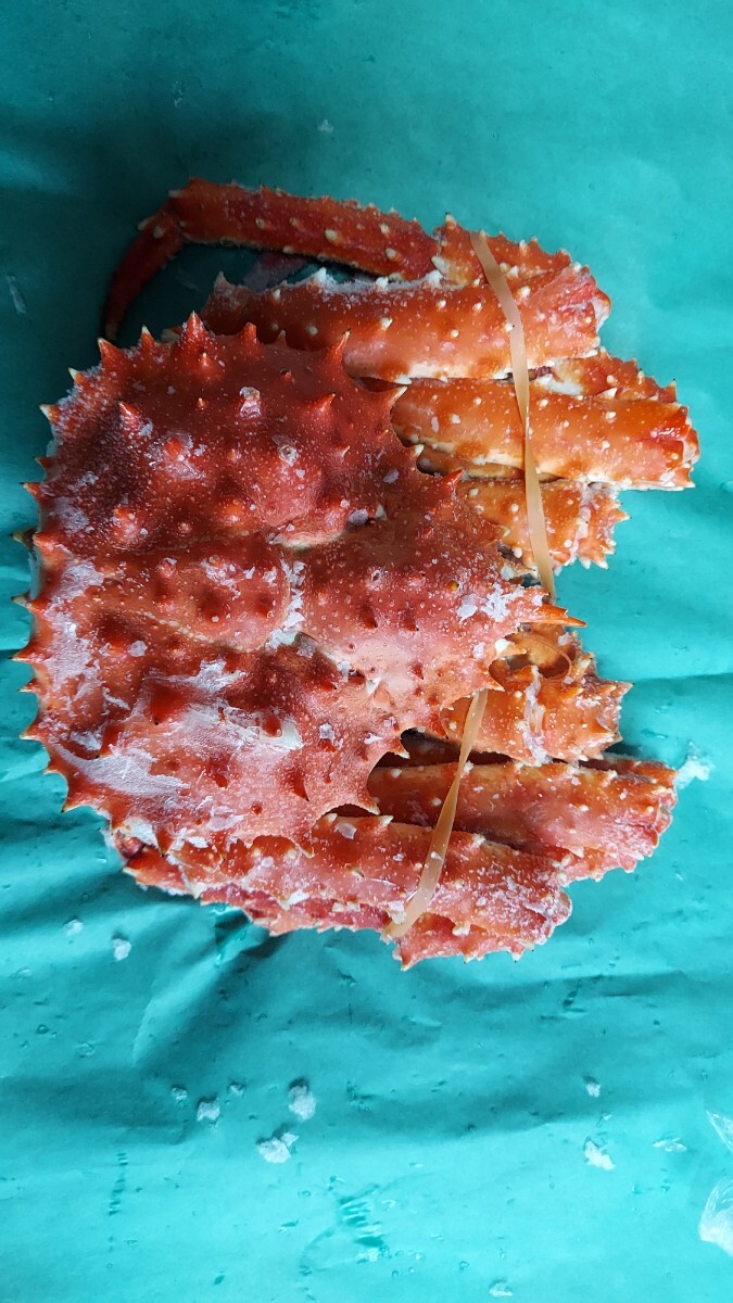 特上タラバガニ650~700g位1匹3998円