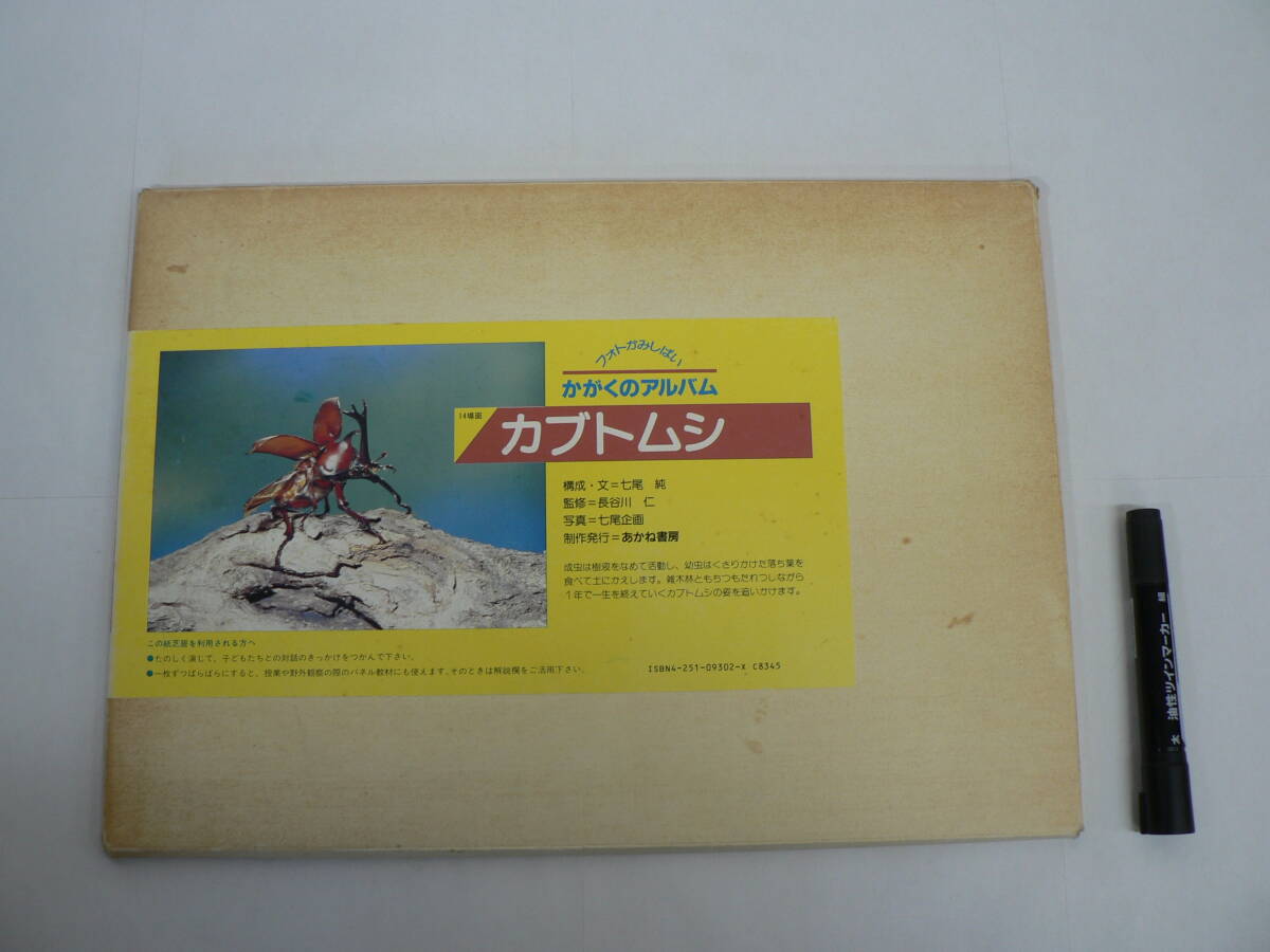 紙芝居『フォトかみしばい かがくのアルバム : カブトムシ』14場面 あかね書房 七尾純 / 科学 生物 生き物 昆虫