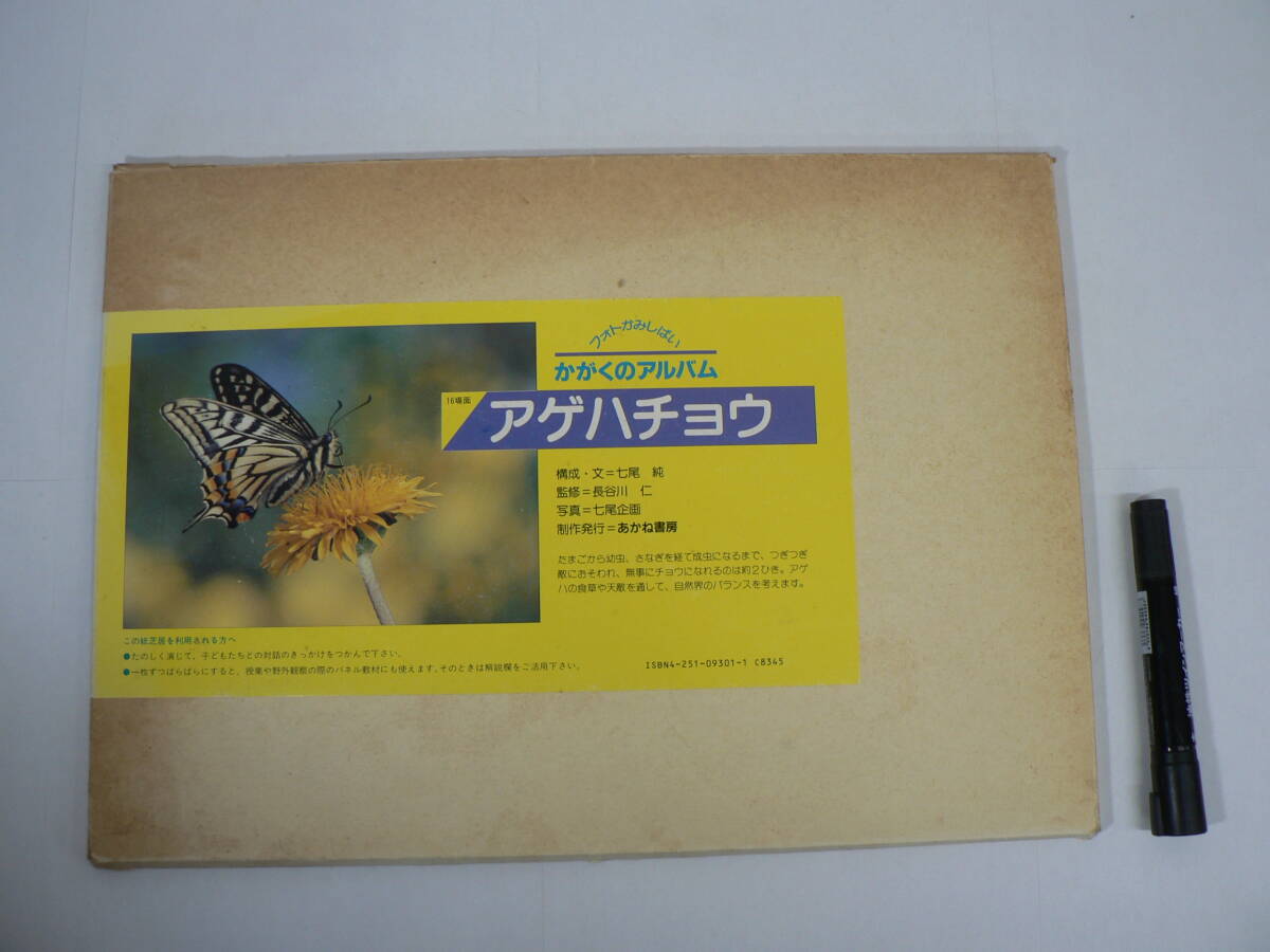紙芝居『フォトかみしばい かがくのアルバム : アゲハチョウ』16場面 あかね書房 七尾純 / 科学 生物 生き物 昆虫