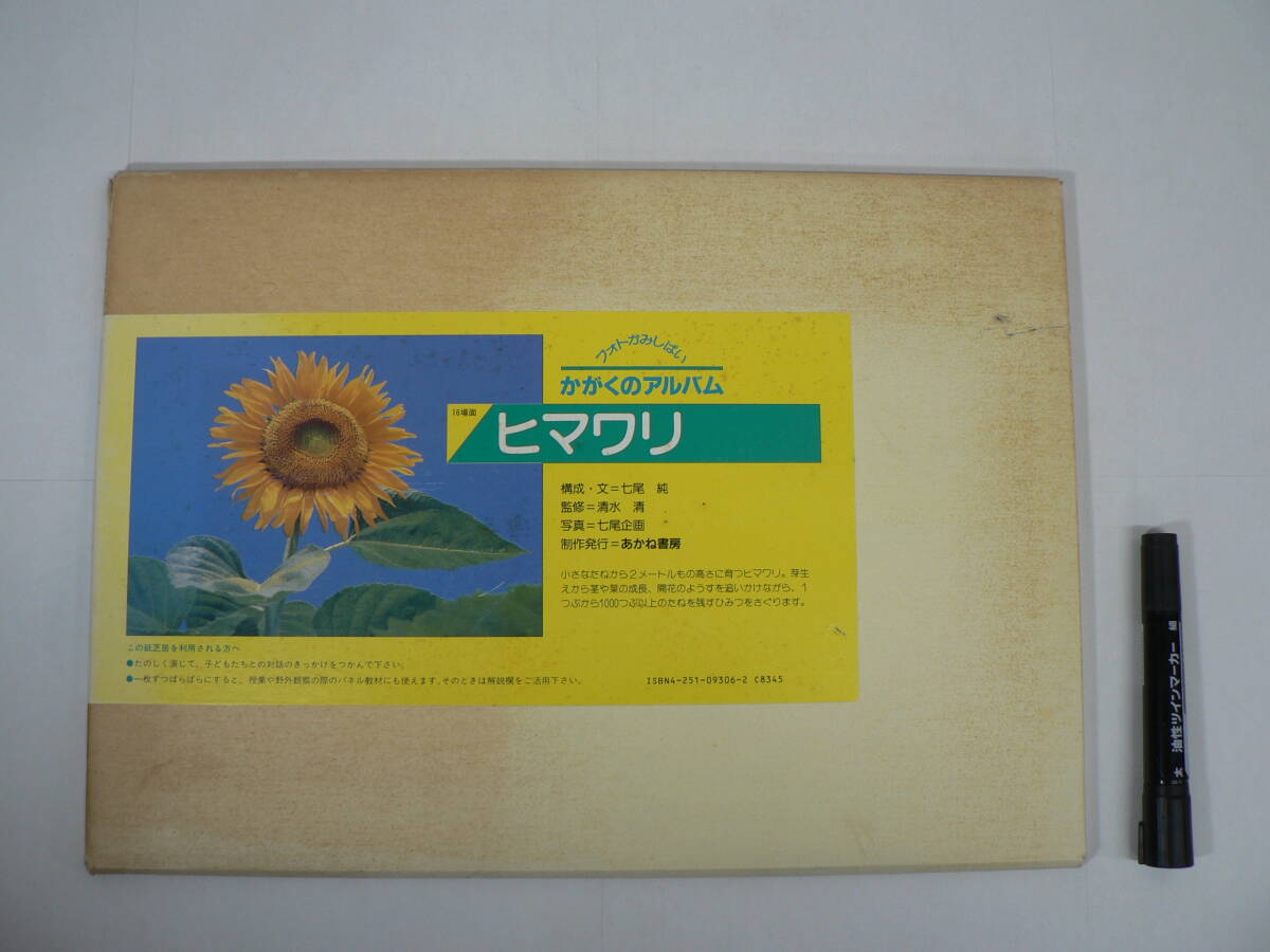 紙芝居『フォトかみしばい かがくのアルバム : ヒマワリ』16場面 あかね書房 七尾純 / 科学 生物 生き物 植物 花