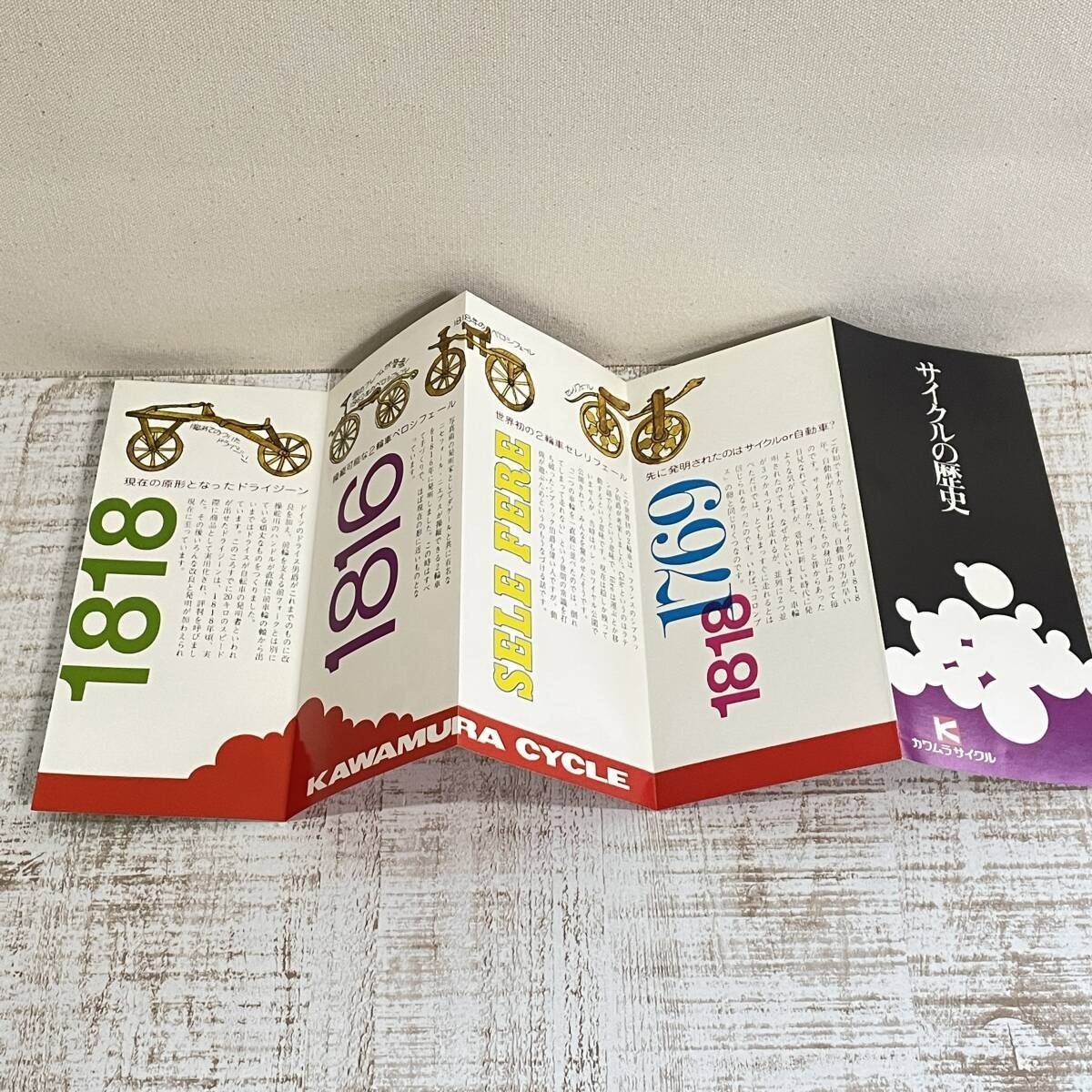 サイクルの歴史 サイクルの正しい選び方 現状品 