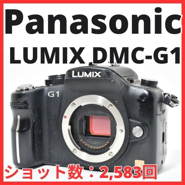 L18[7115Ｃ] パナソニック Panasonic LUMIX DMC-G1 ボディ 【ショット数 2,583回】