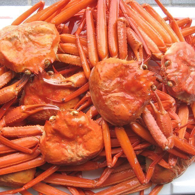 名人の浜茹で蟹、B10kg(冷凍) 蟹の本場、山陰境港産　(紅ずわい蟹)