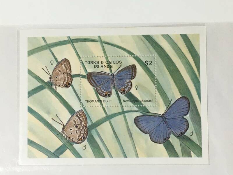 切手：昆虫・蝶／タークス諸島とカイコス諸島＊シート＊
