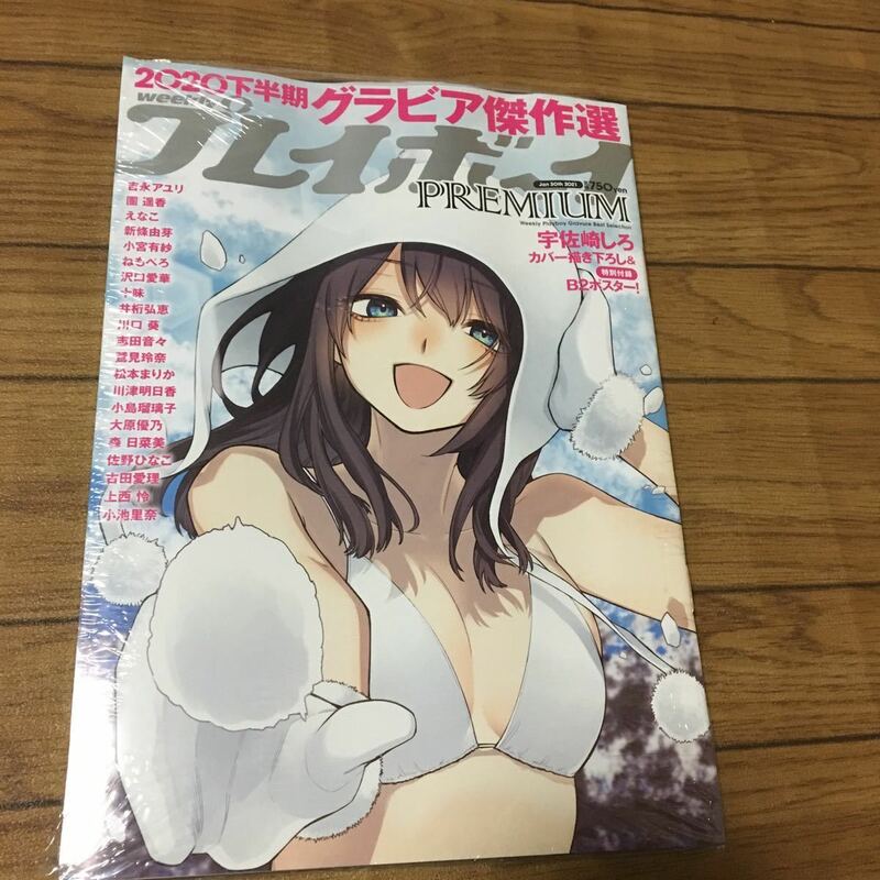 新品未開封★ナイロンシュリンク★2020下半期グラビア傑作集★プレイボーイプレミアム★沢口愛華、えなこさん他多数グラビア★送料230円