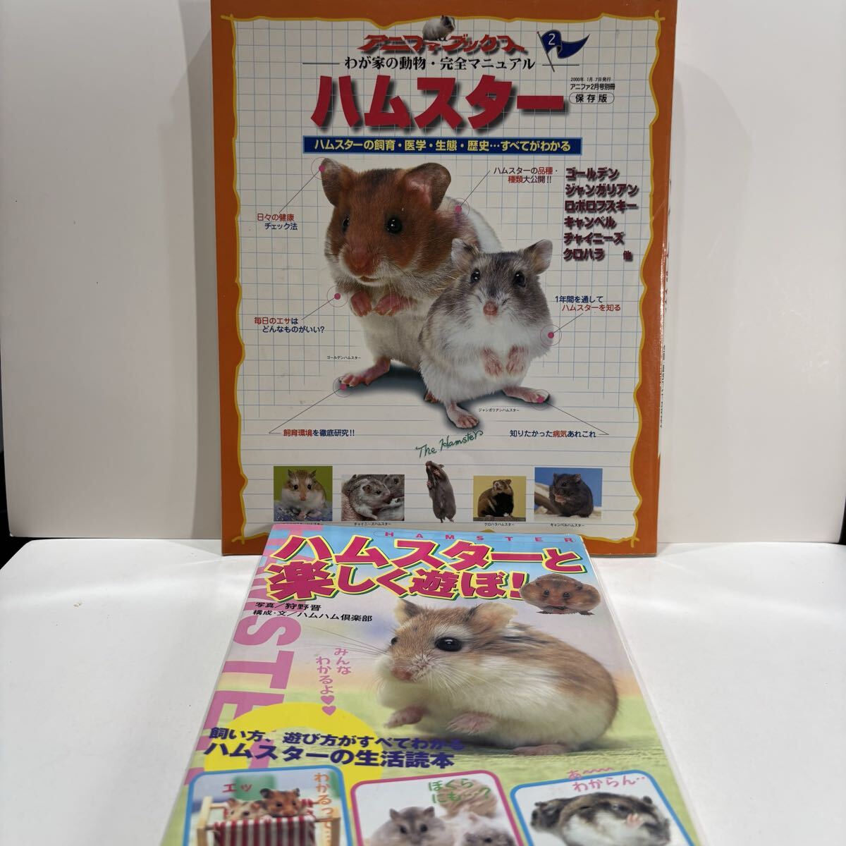 ハムスター飼育関連　２冊セット
