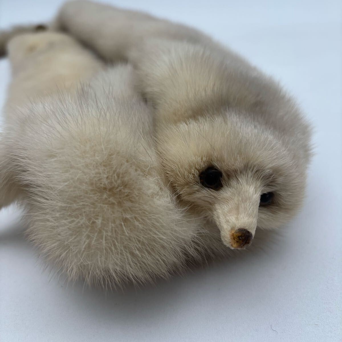 ファー アニマル マフラー 襟巻き ショール ホワイト アイボリー KM251205-002