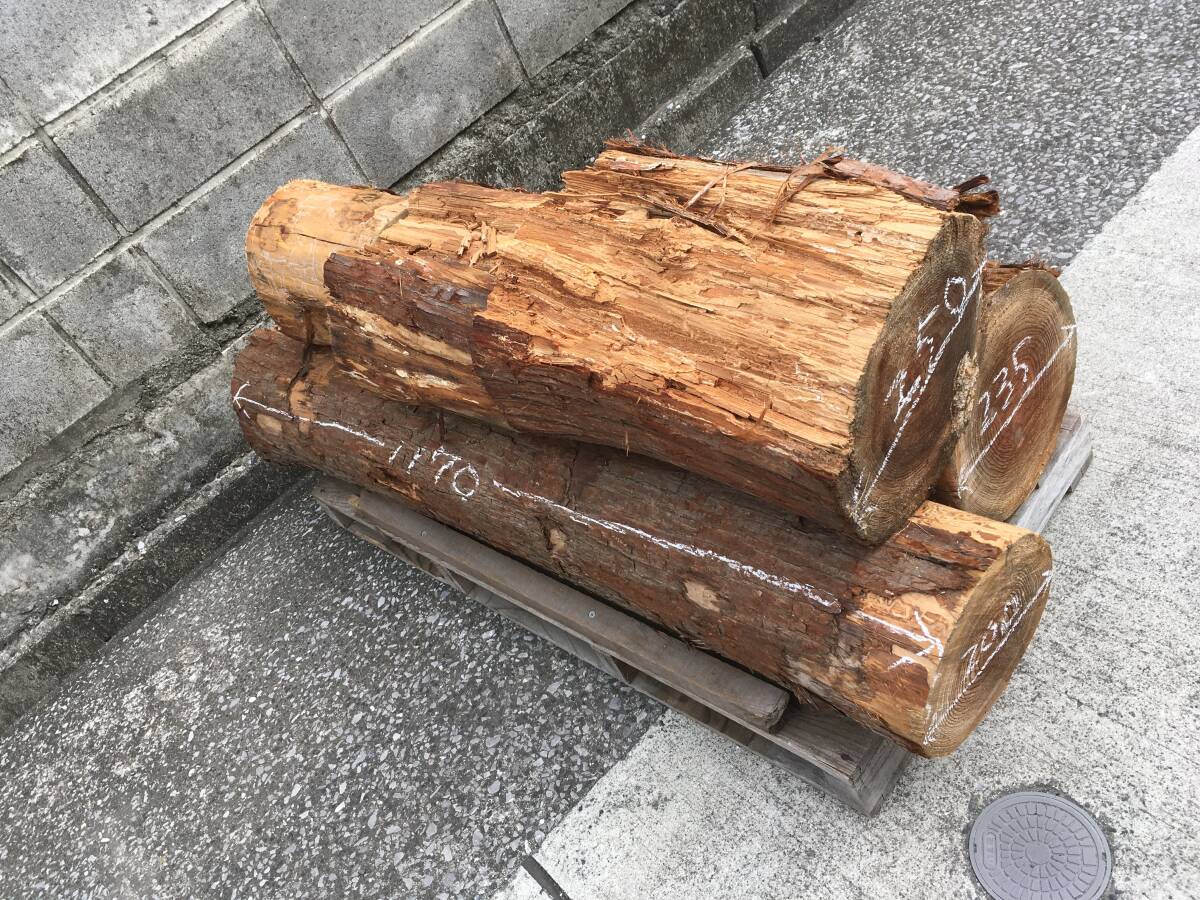 5-71材料 小杉 世界遺産 逸品 貴重 材料 希少 杢 杢目 香木 丸太