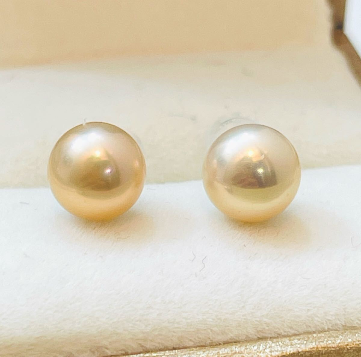 最強の光沢 極上 無核 本真珠ピアス ゴールドパール　無調色 天然 7-8mm パールピアス ピアス 直結 発色抜群 天然真珠 パール 真珠専門