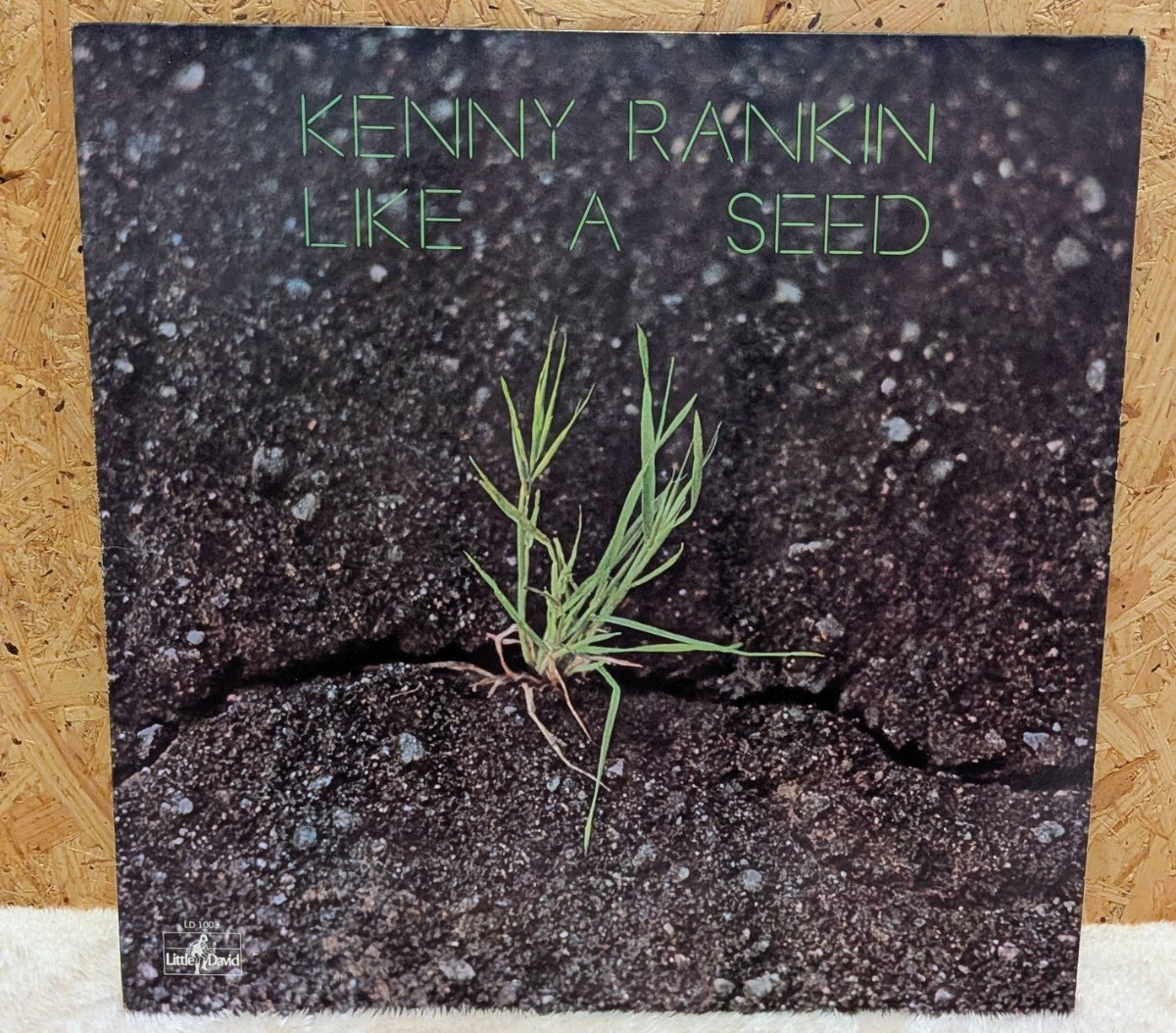 Kenny Rankin / Like a Seed ld1003 r14327 米オリジナル