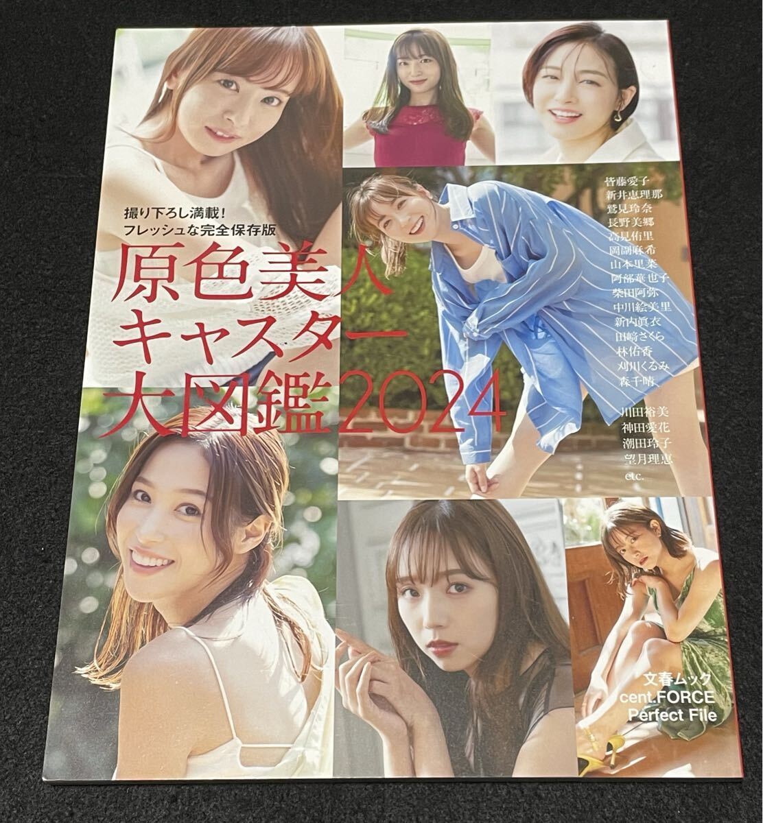 原色美人キャスター大図鑑2024 (文春MOOK) 阿部華也子 皆藤愛子 鷲見玲奈 中川絵美里 新内眞衣 林佑香 森千晴 谷尻萌 高見侑里 岡副麻希