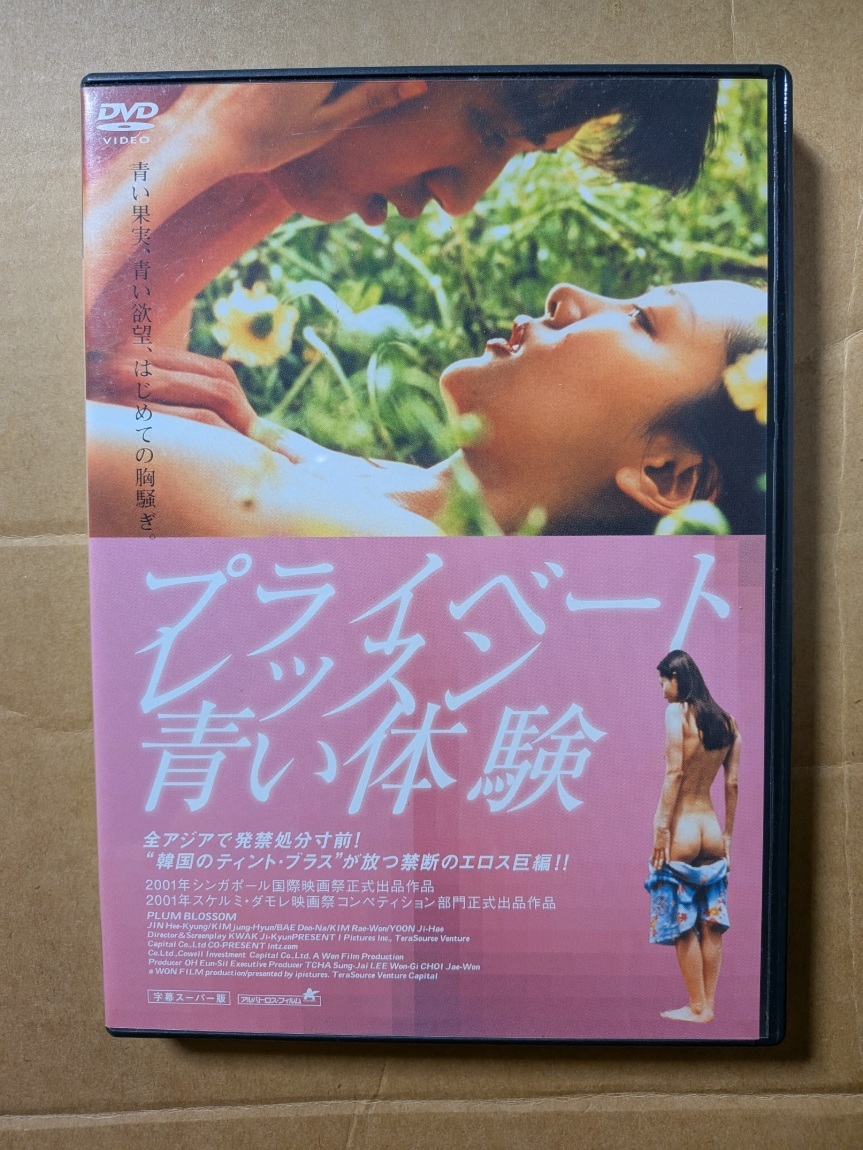 廃盤☆プライベートレッスン　青い体験☆ぺ・ドゥナ☆キム・レウォン☆国内正規品・視聴確認済み