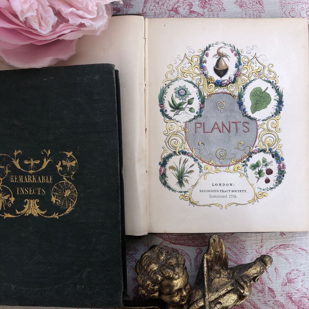 貴重！ 植物図鑑　PLANTS &INSECTS 2冊セット！18's アンティークブック　植物 昆虫 銅版画　彩色　古書　英語　 英国　金彩色　レア　