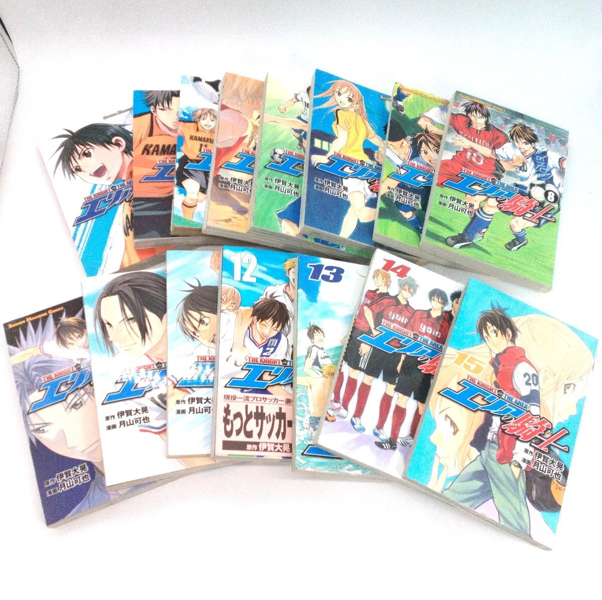エリアの騎士 THE KNIGHT in THE AREA 1～15巻 原作：伊賀大晃 漫画：月山可也 少年マガジン 漫画 マンガ コミック サッカー【道楽札幌】