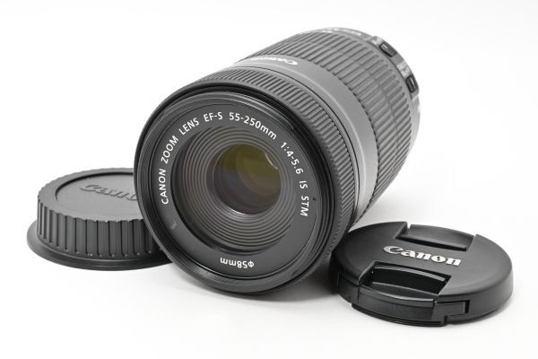 完動美品 Canon Zoom Lens EF-S 55-250mm F4-5.6 IS STM AF Tele Lens 手ブレ補正 望遠ズームレンズ / キヤノン EF Mount APS-C #6643