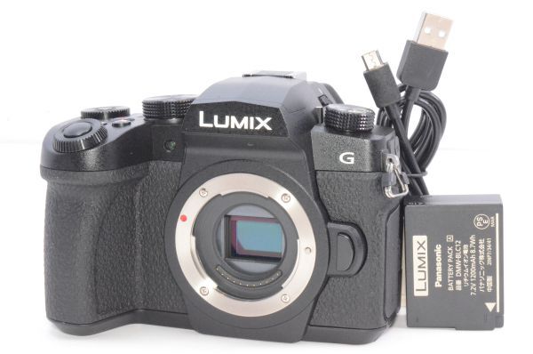 ★Panasonic パナソニック G99 ボディ ブラック DC-G99-K★#H0042512048A