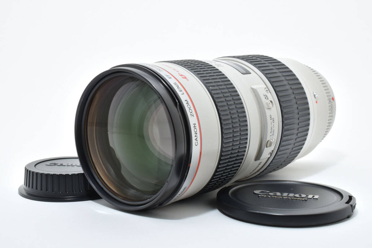 Canon EF 70-200mm f/2.8 L USM Lens Zoom　キャノン　ズームレンズ　＃466