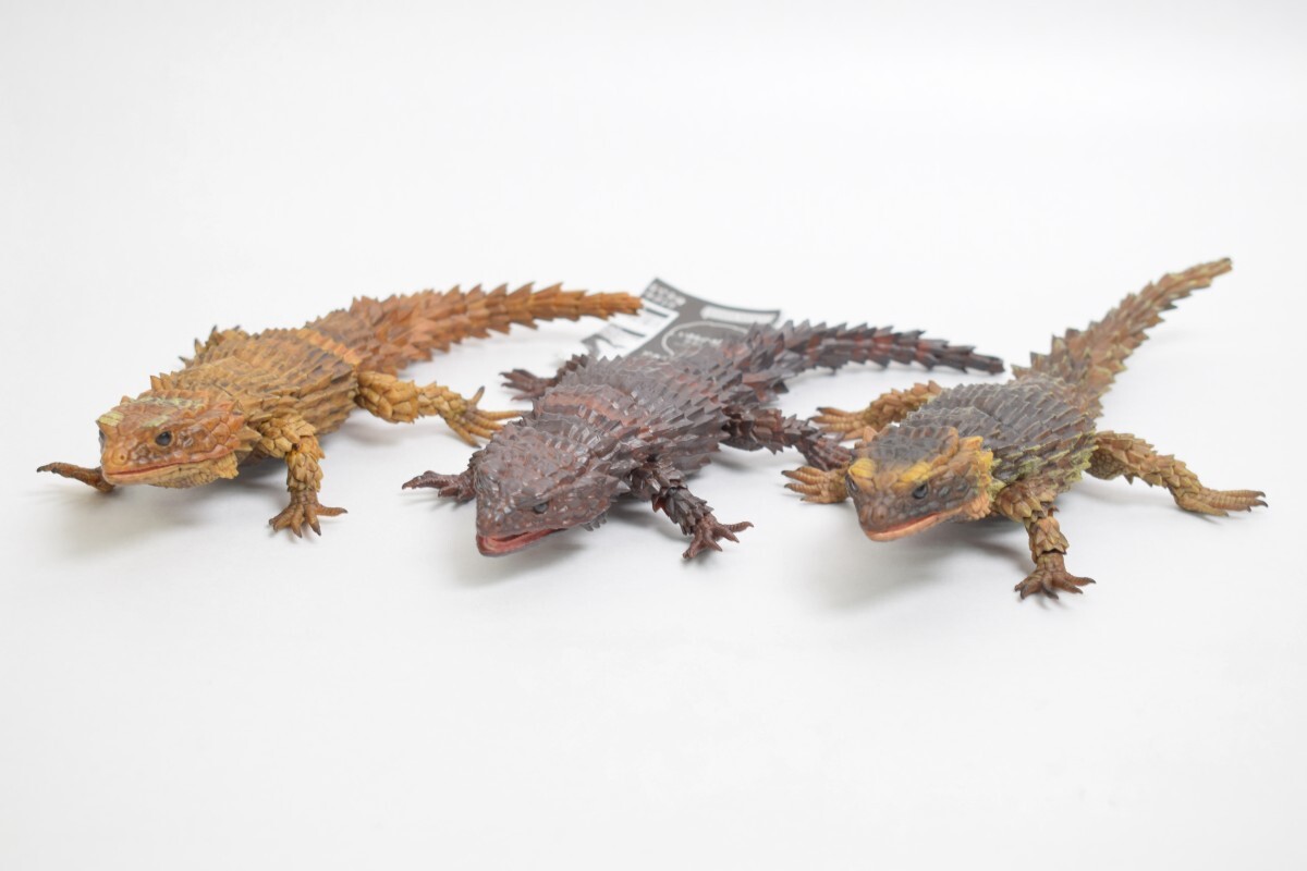 美品 BANDAI バンダイ いきもの大図鑑 アドバンス アルマジロトカゲ 3点 まとめ セット プレミアム ガシャポン フィギュア RS-581K/817