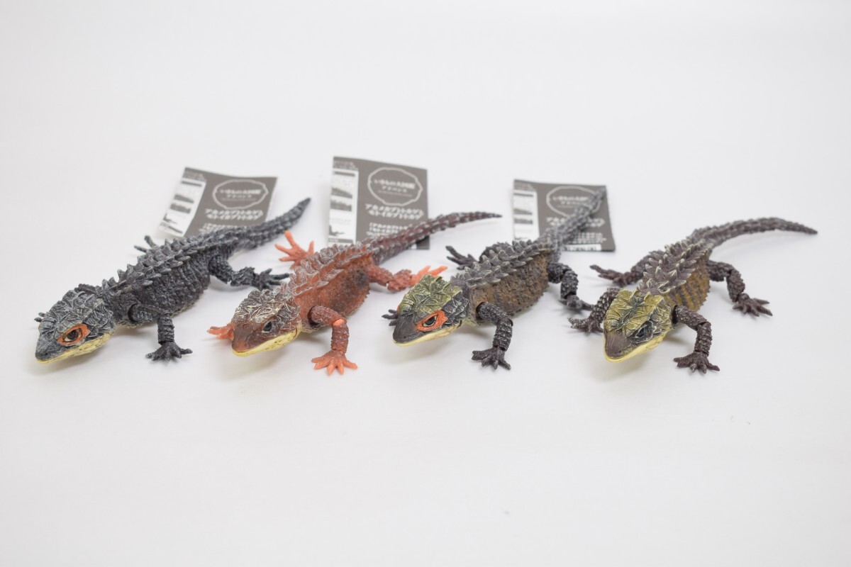 美品 BANDAI バンダイ いきもの大図鑑アドバンス アカメカブトトカゲ モトイカブトトカゲ 全4種揃い セット まとめ ガシャポン RS-582K/817