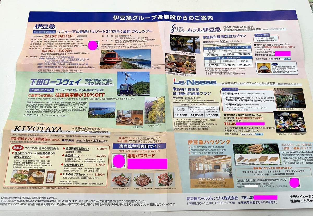 【即決】下田ロープウェイ往復3割引 (2026.5.31迄何回でも)★伊豆急グループ 株主限定旅行ツアー・割引プラン各種【株主優待】ホテル伊豆急