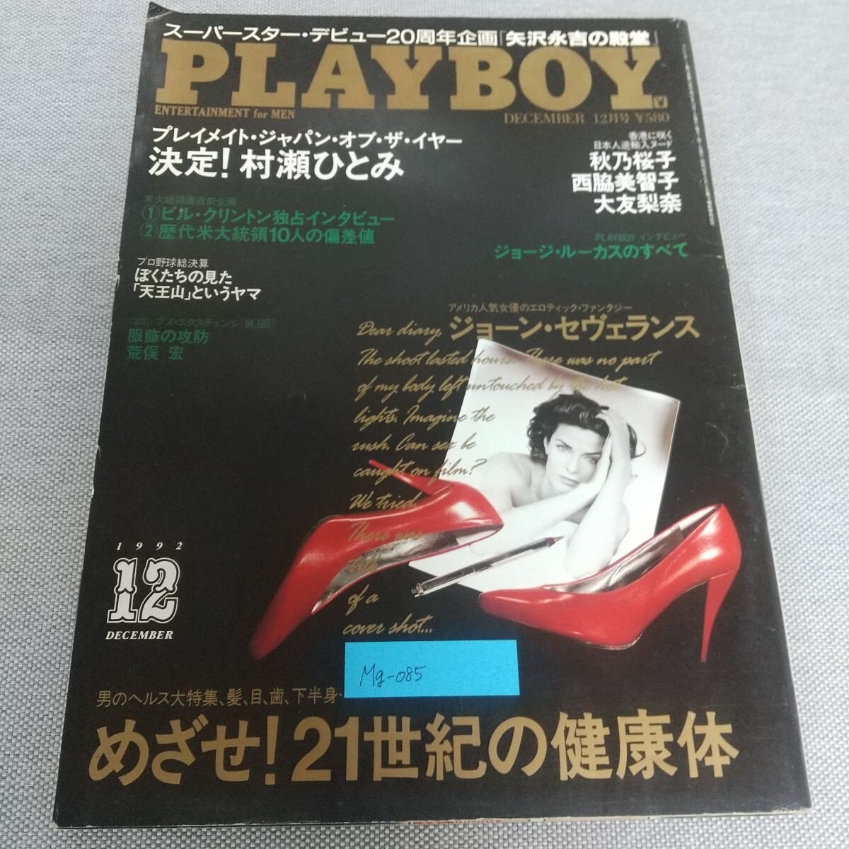 Mg-085/PLAYBOY スーパースター・デビュー20周年企画「矢沢永吉の殿堂」 秋野桜子 西脇美智子 大友梨奈/L7/80114