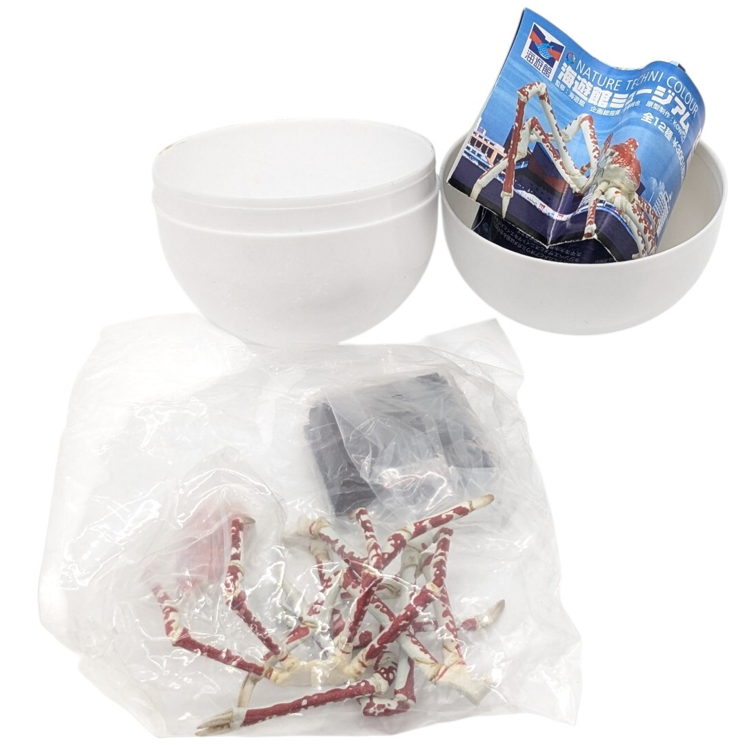 ネイチャーテクニカラー タカアシガニ フィギュア 海遊館ミュージアム 奇譚クラブ