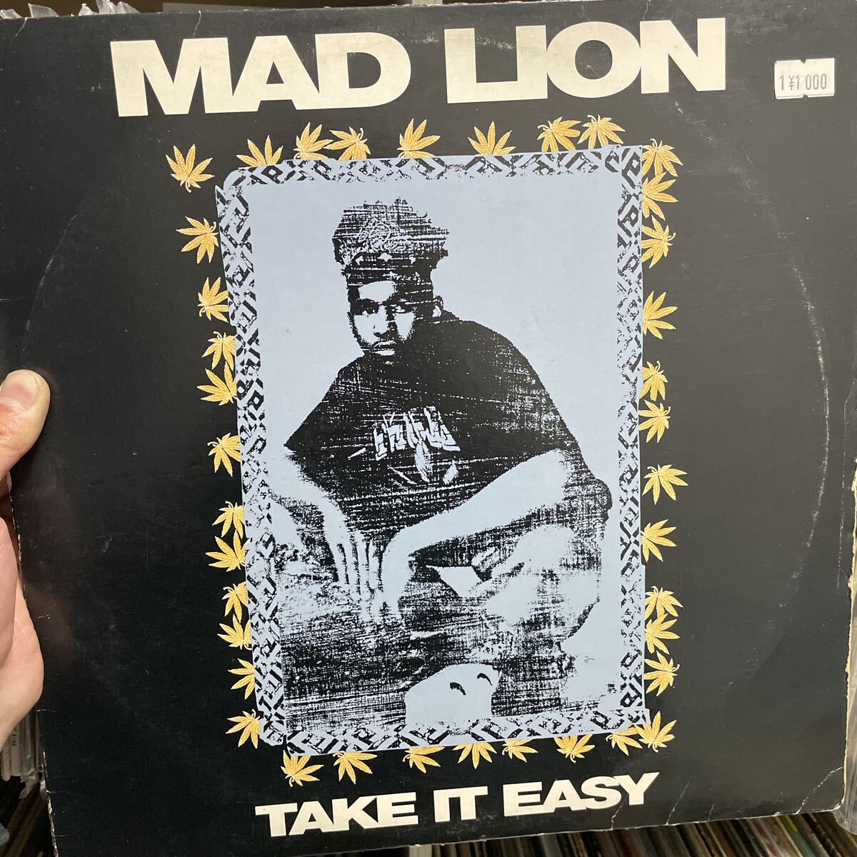 Hiphop 12’ レコード Mad Lion - Take it Easy