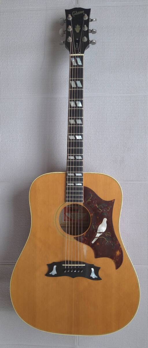 ● Gibson Dove Custom 1975