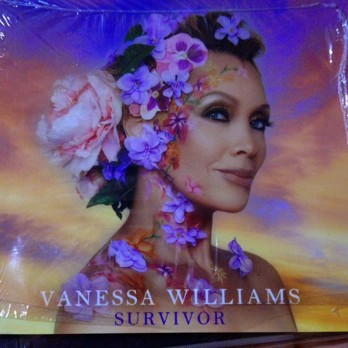 VANESSA WILLAMSヴァネッサ・ウィリアムス☆SURVIVOR輸入盤アルバム