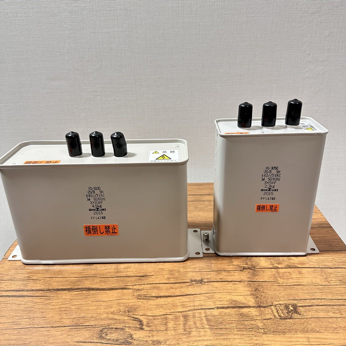 【新品未使用】静貴電機 低圧進相コンデンサ 2個セットFG-3050 FG-3100 (164) 