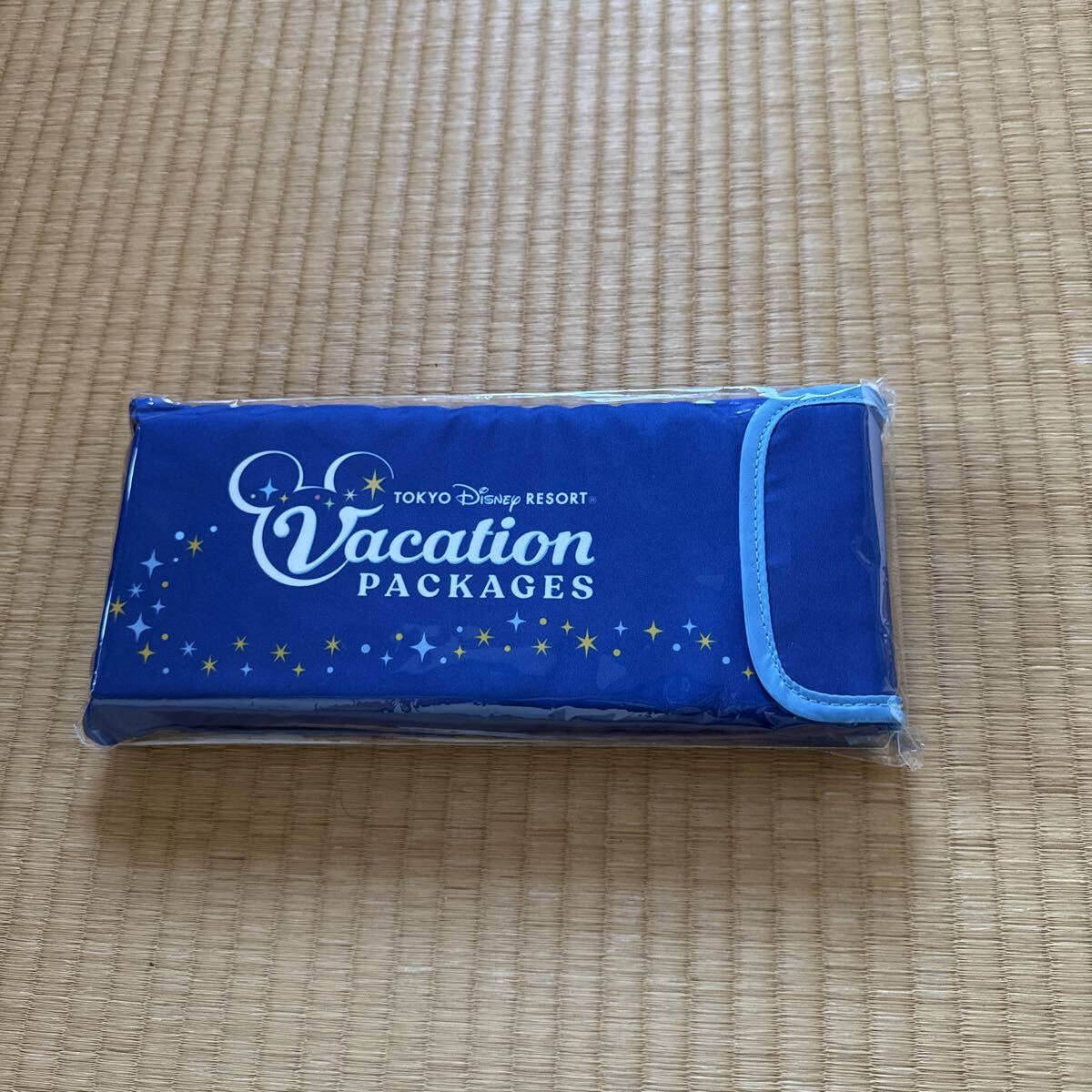 新品未使用　ディズニー ポータブルクッション　座布団　手提げケース付き　持ちやすい　手提げ大きさ29cm×12cm×3.5